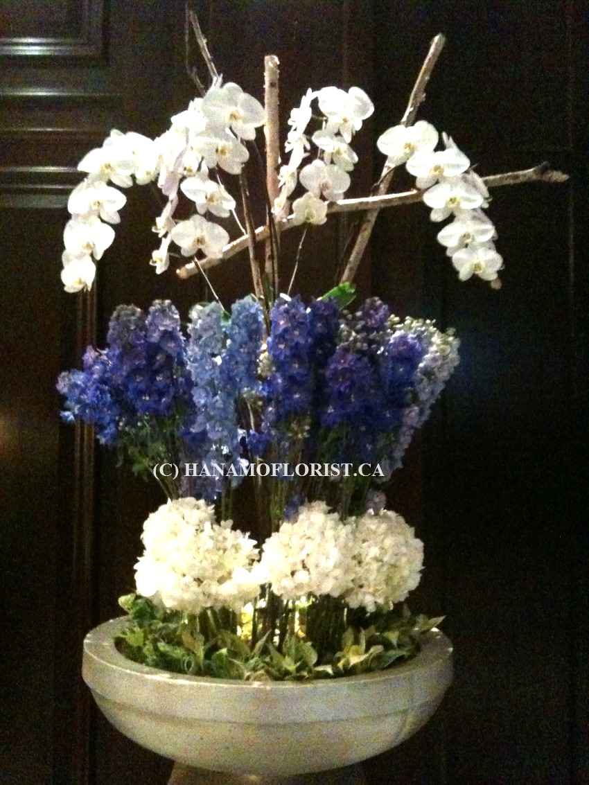 LOBB601 Delphinium & Phalaenopsis Large Lobby Flowers